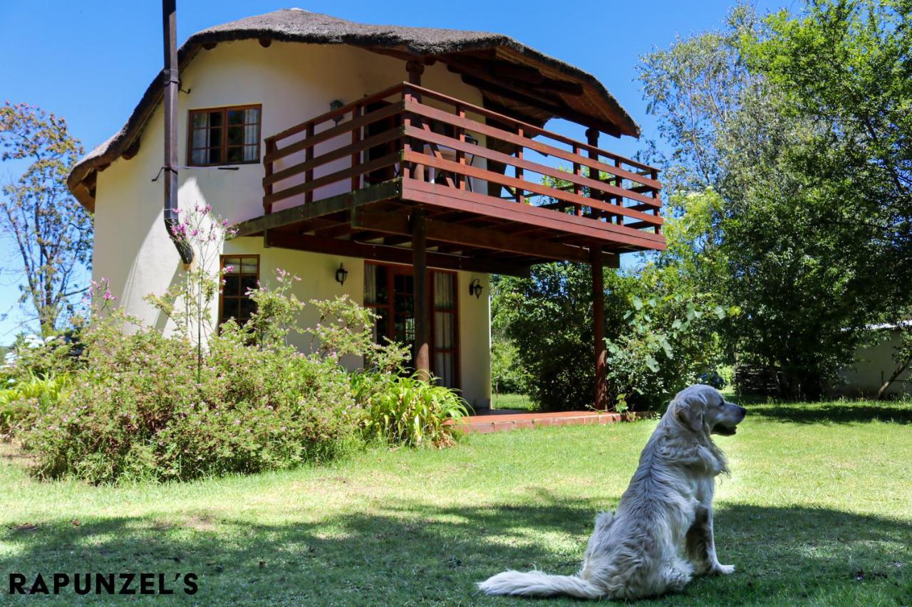 Jaya'S Place Hogsback Exterior photo
